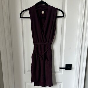 Aritzia Wilfred Dress
